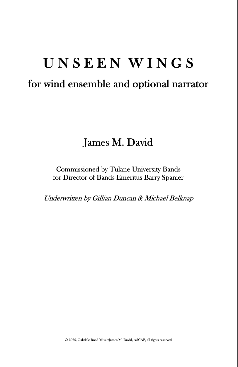 David: Unseen Wings