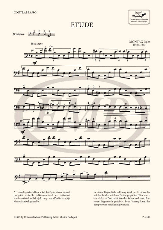 Montag: Etude for Double Bass and Piano