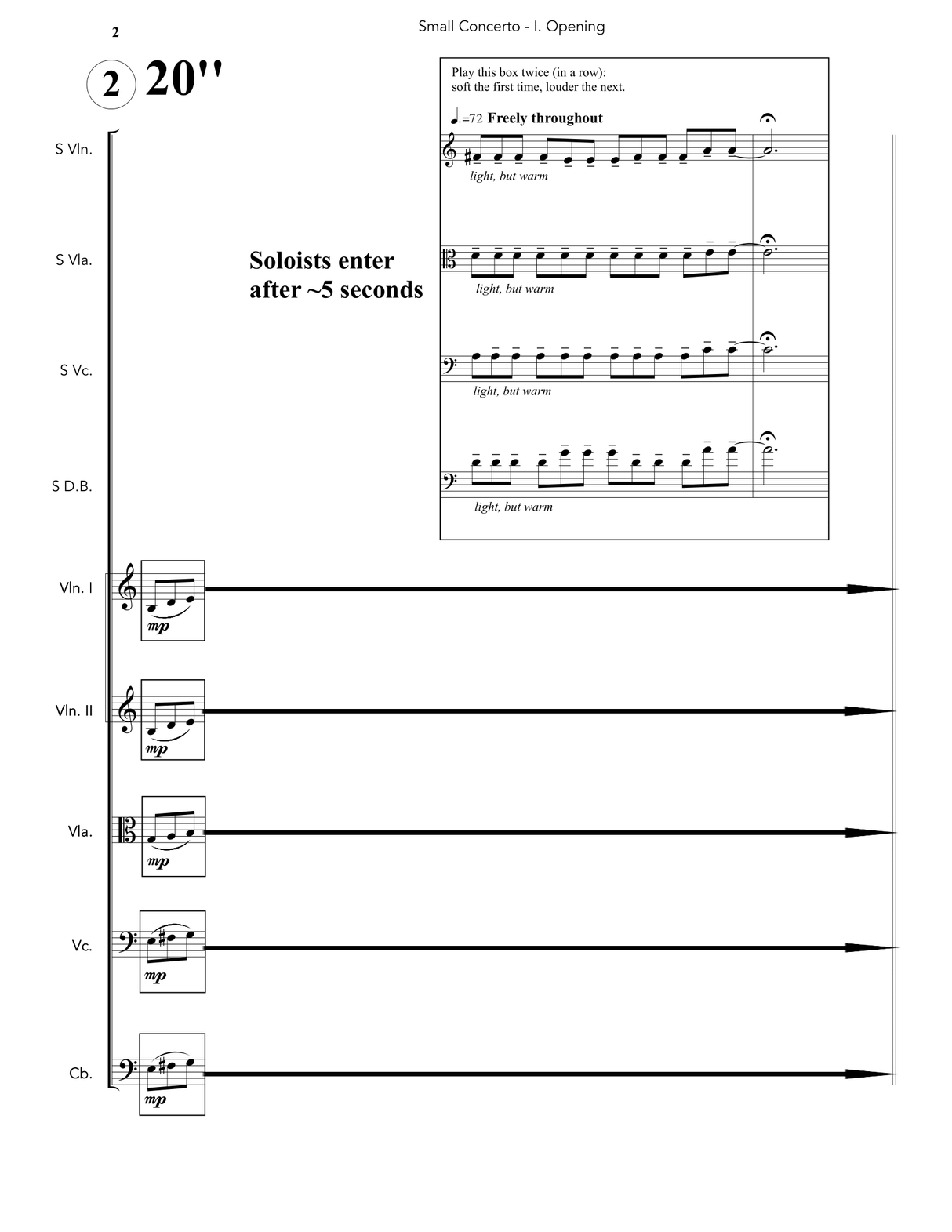 Steinke: Small Concerto