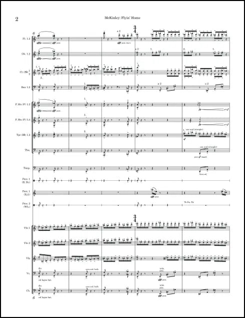 McKinley: Flyin' Home