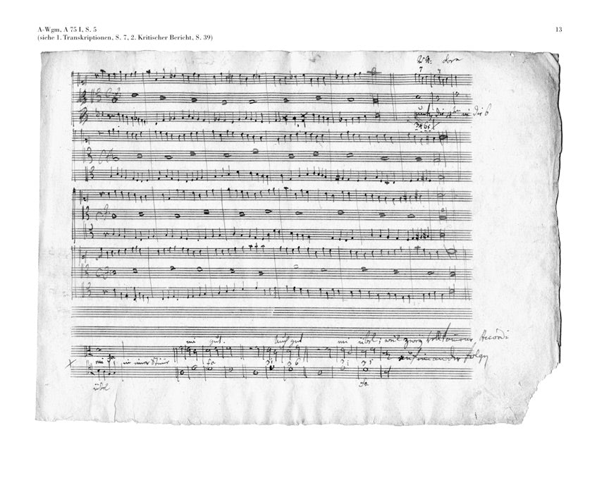 Beethoven: Composition studies at Haydn, Albrechtsberger and Salieri