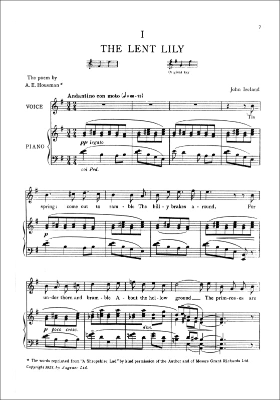 Ireland: The Land of Lost Content