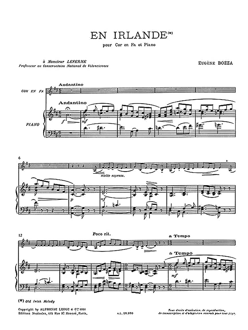 Bozza: En Irlande