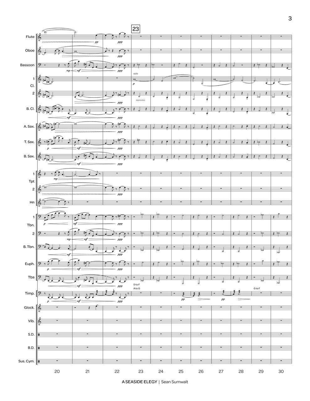 Sumwalt: A Seaside Elegy