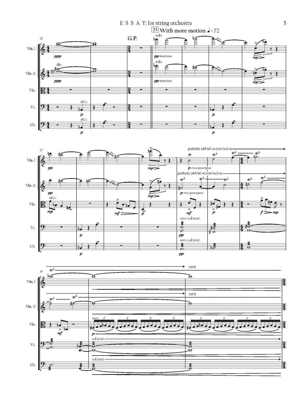 Trentadue: Essay