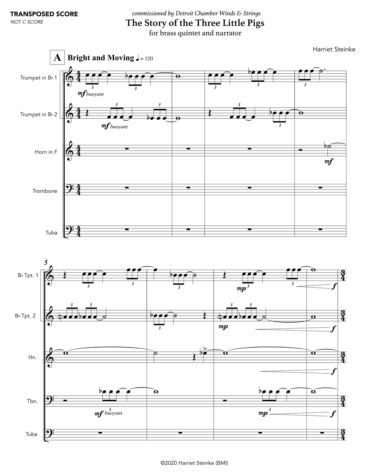 Steinke: The Story of The Three Little Pigs