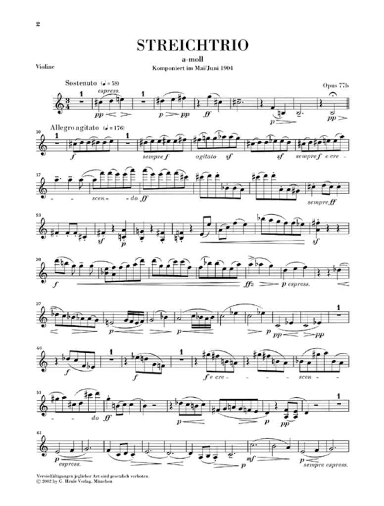 Reger: String Trios, Op. 77b and Op. 141b