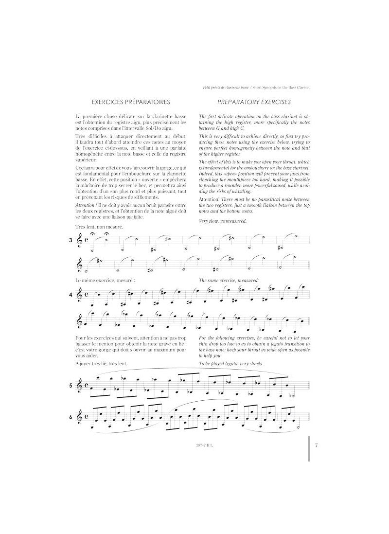 Short Synopsis on the Bass Clarinet
