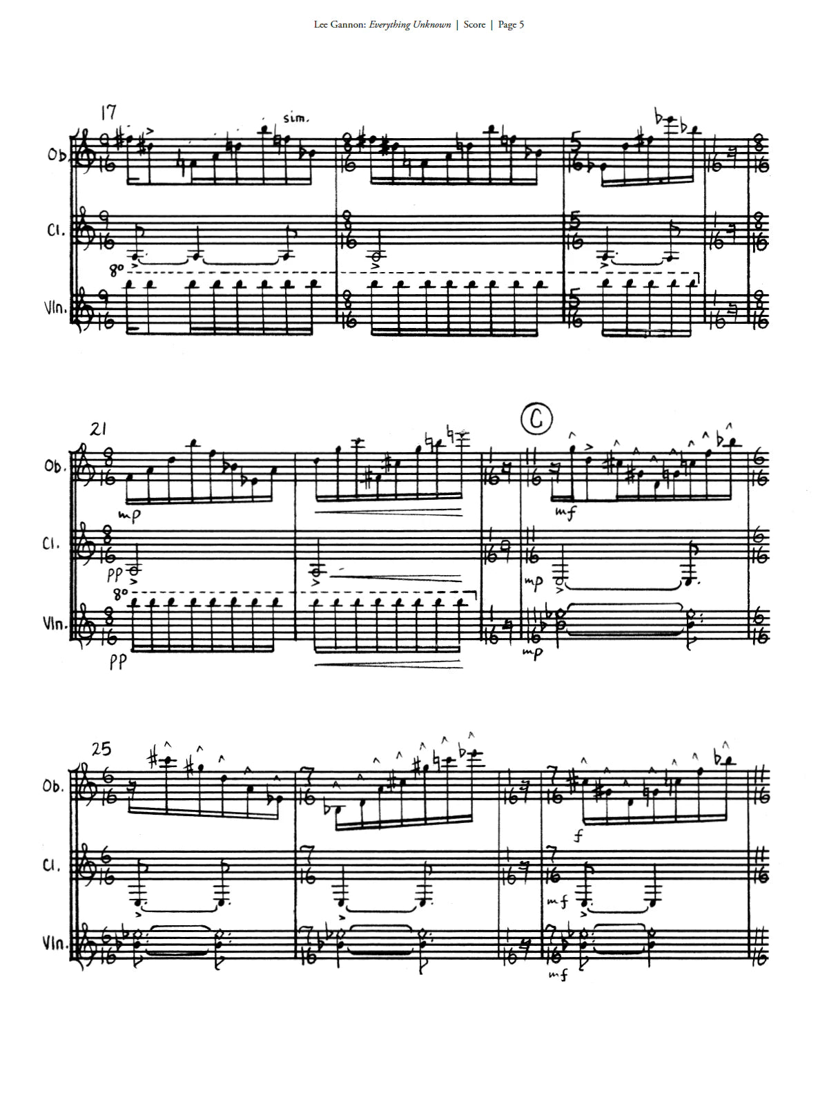 Gannon: Everything Unknown