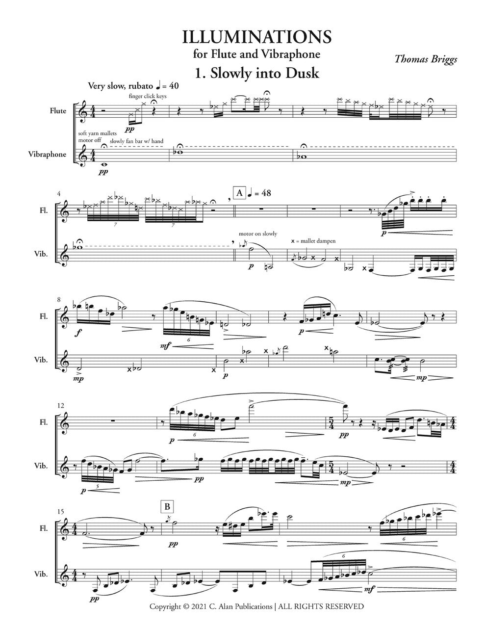 T. Briggs: Illuminations