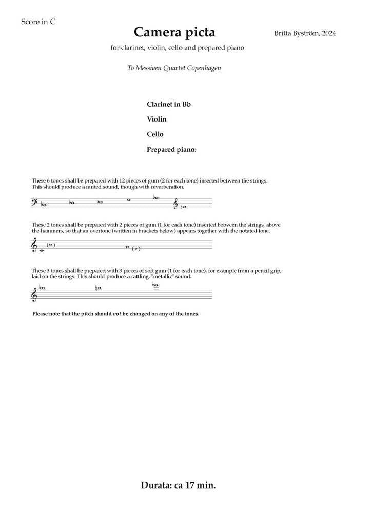 Byström: Camera Picta