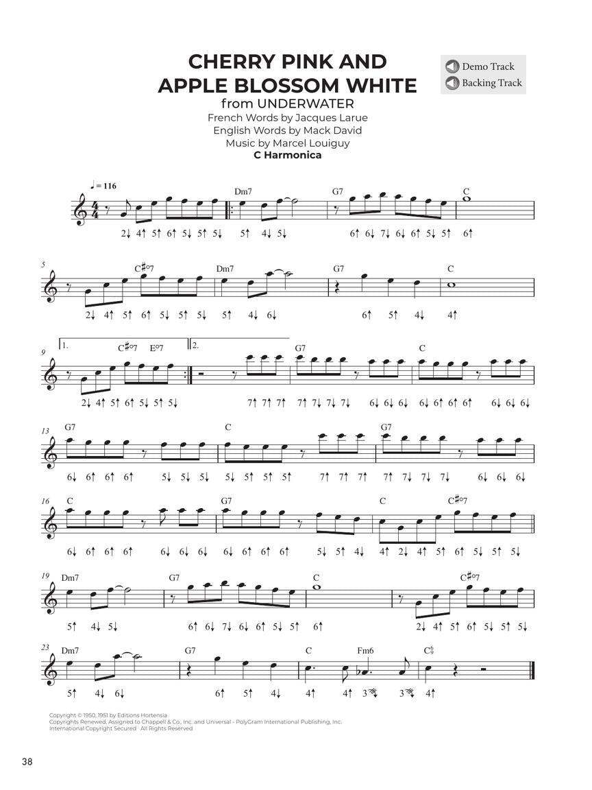 Do-It-Yourself Harmonica