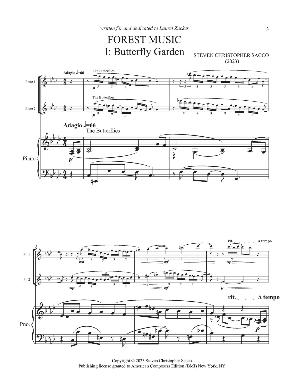 Sacco: Forest Music