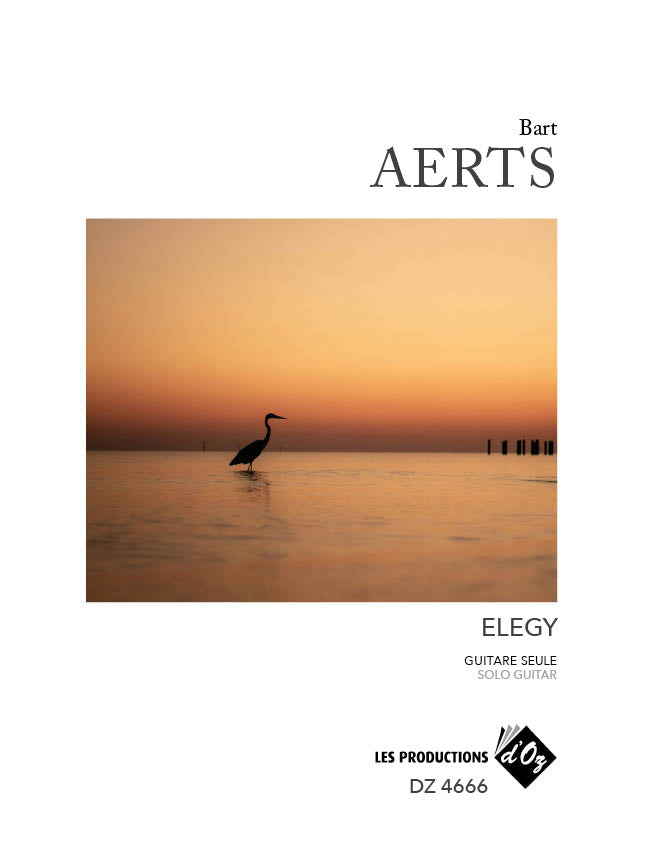 Aerts: Elegy