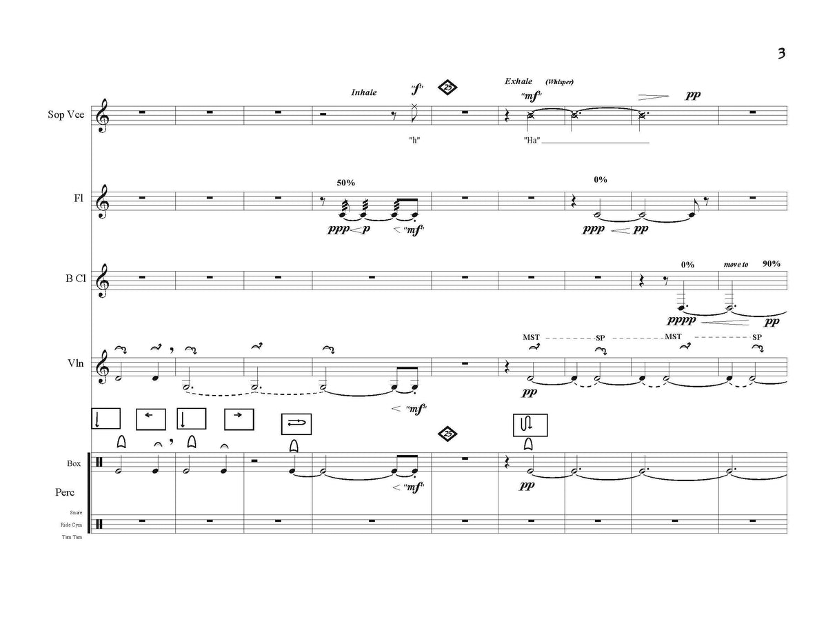 Nielson: Siesta Negra