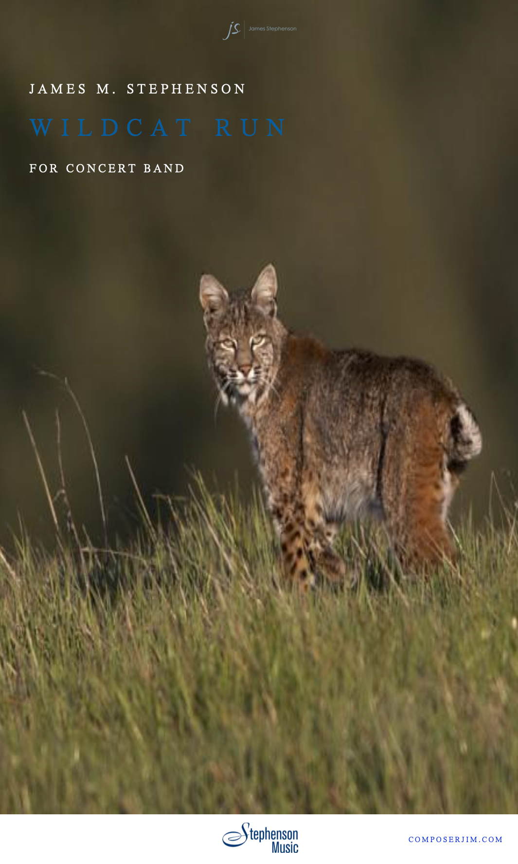 Stephenson: Wildcat Run