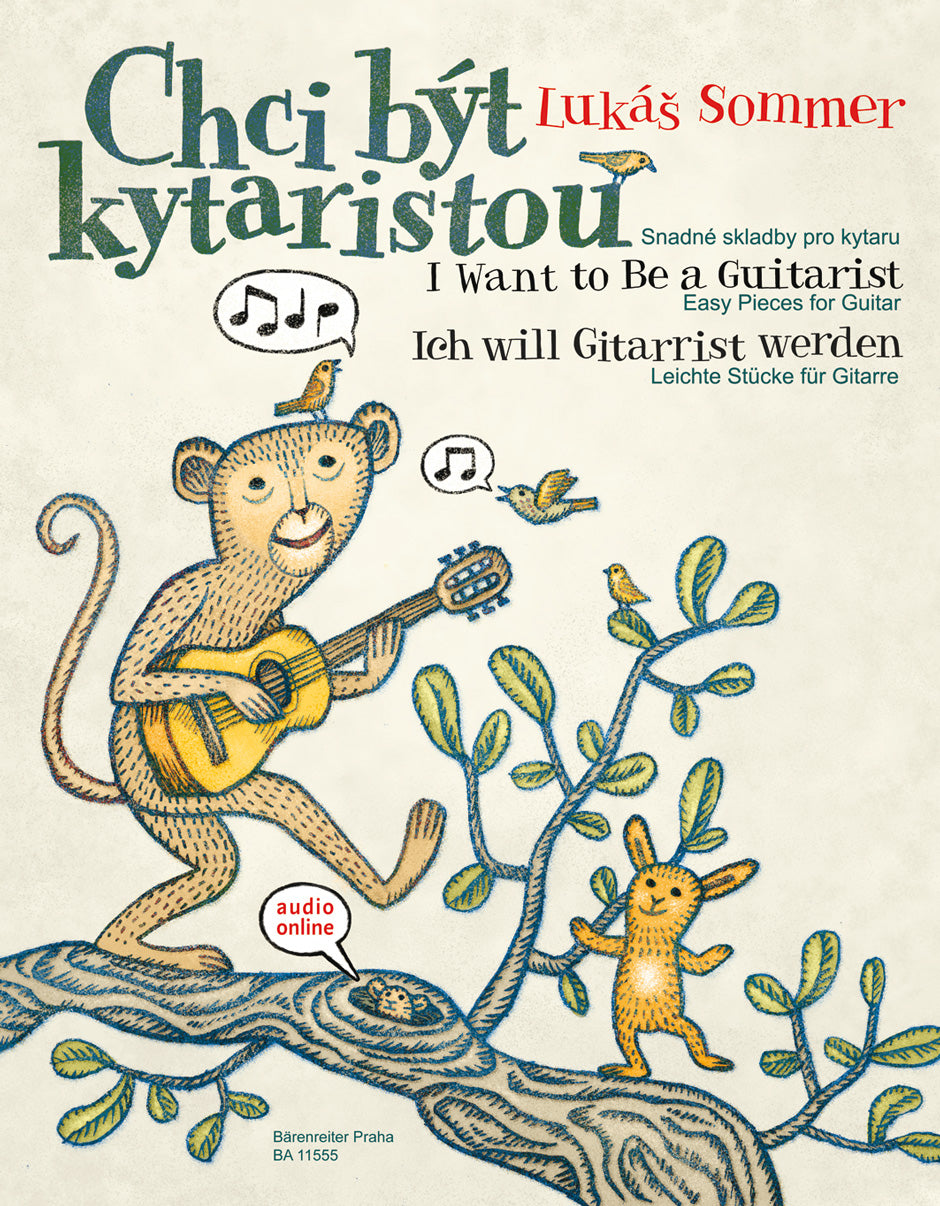 I Want to Be a Guitarist