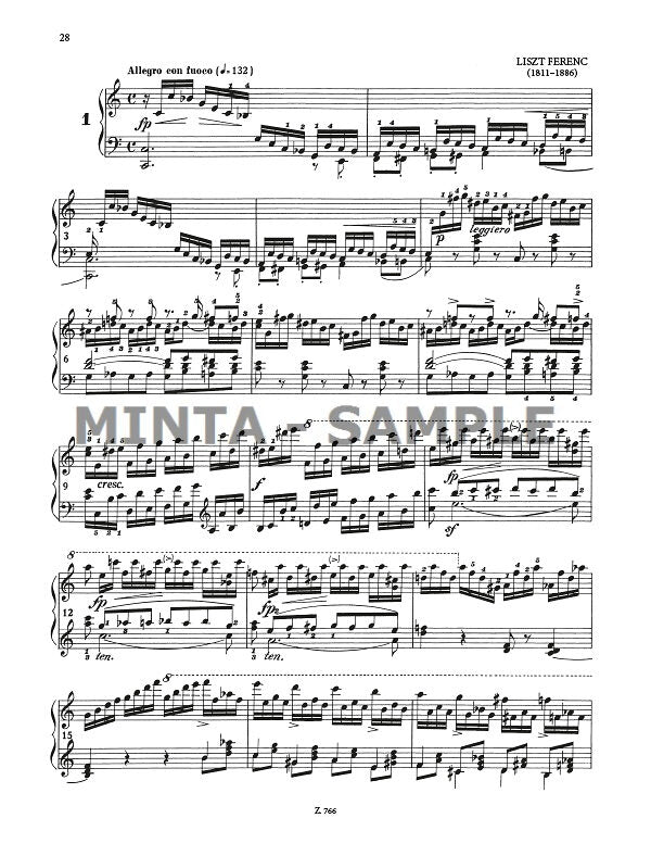 Liszt: 12 Etudes, Op. 6