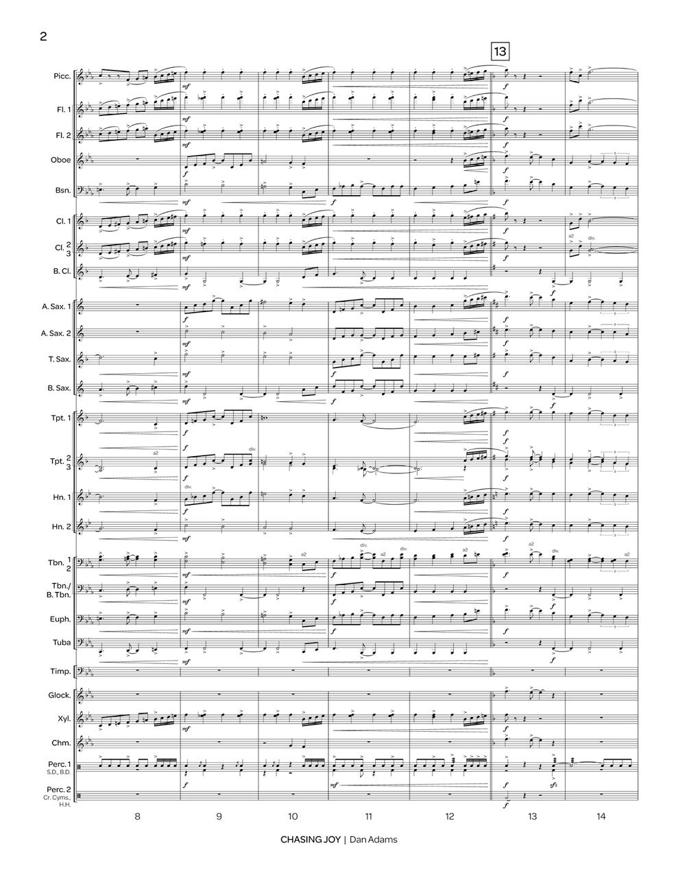 D. Adams: Chasing Joy