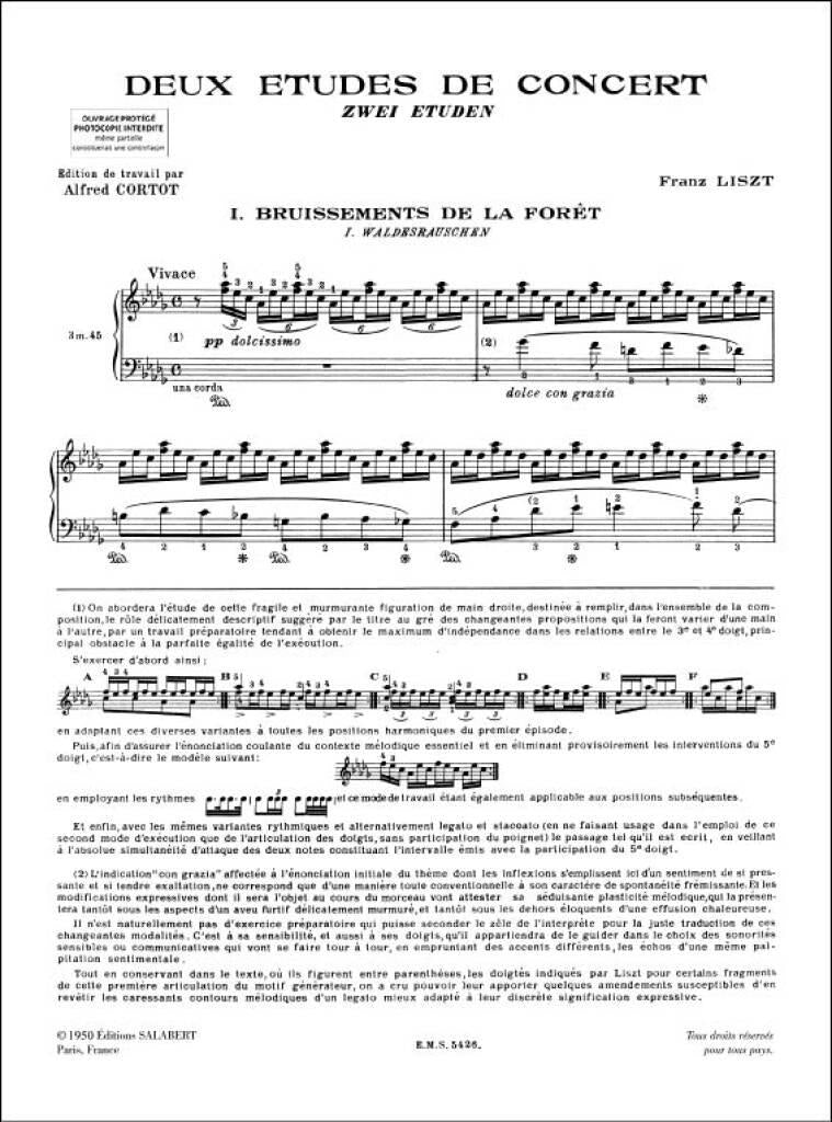 Liszt: 2 Concert Etudes, S. 145