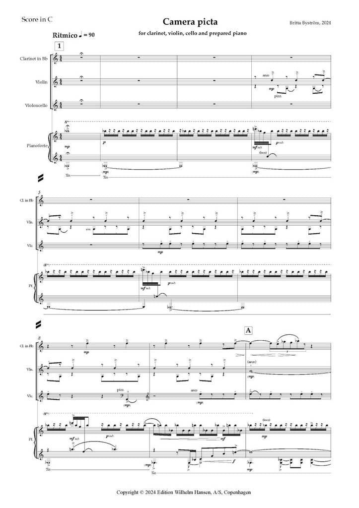 Byström: Camera Picta