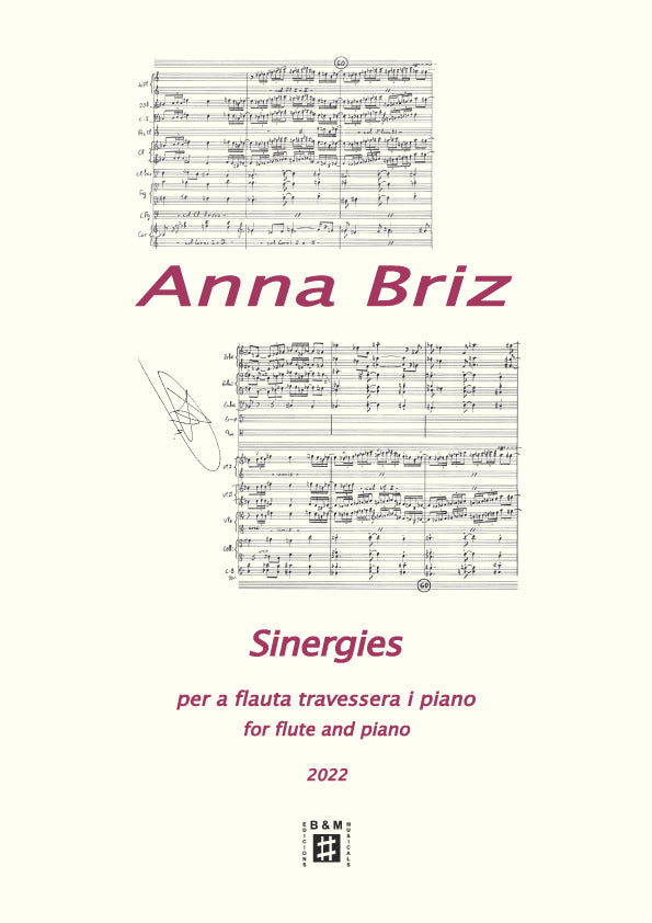 Briz: Synergies