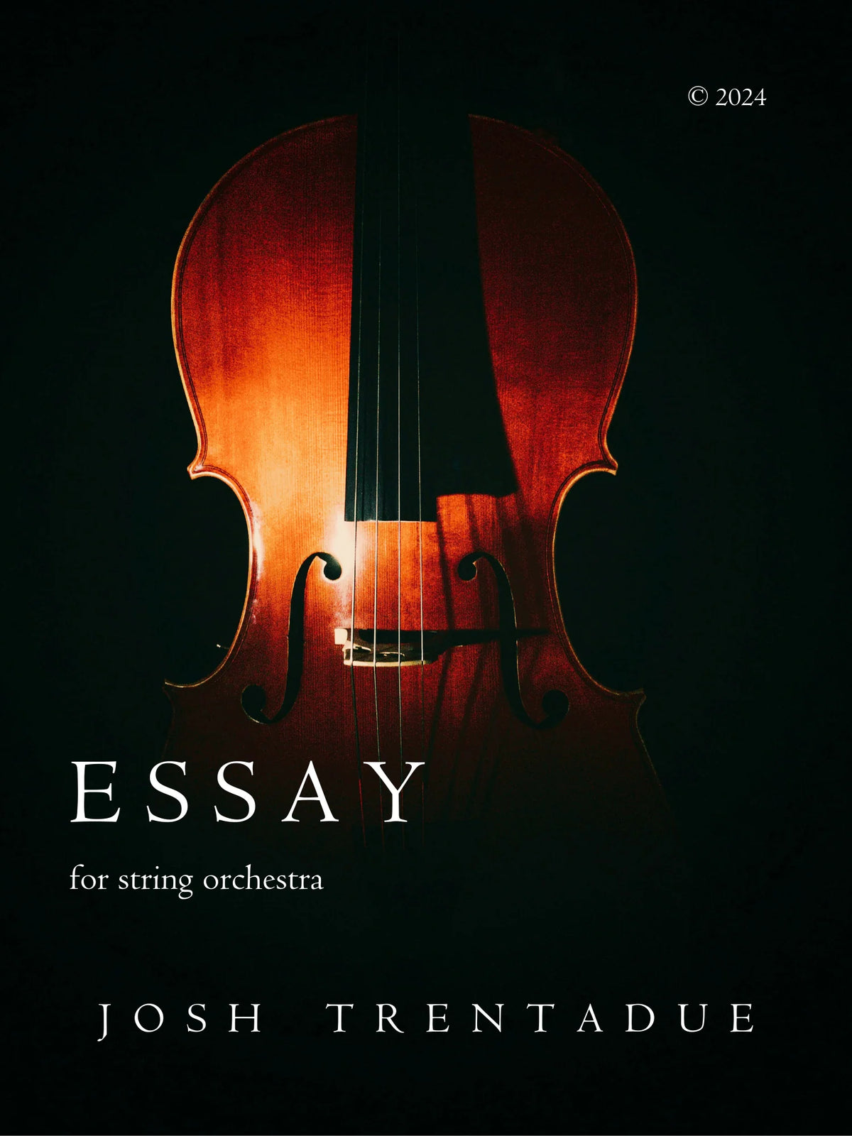 Trentadue: Essay