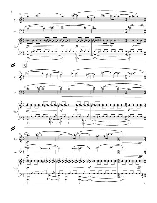 Mazzoli: Magic with Everyday Objects (Version for Flute, Cello, & Piano)