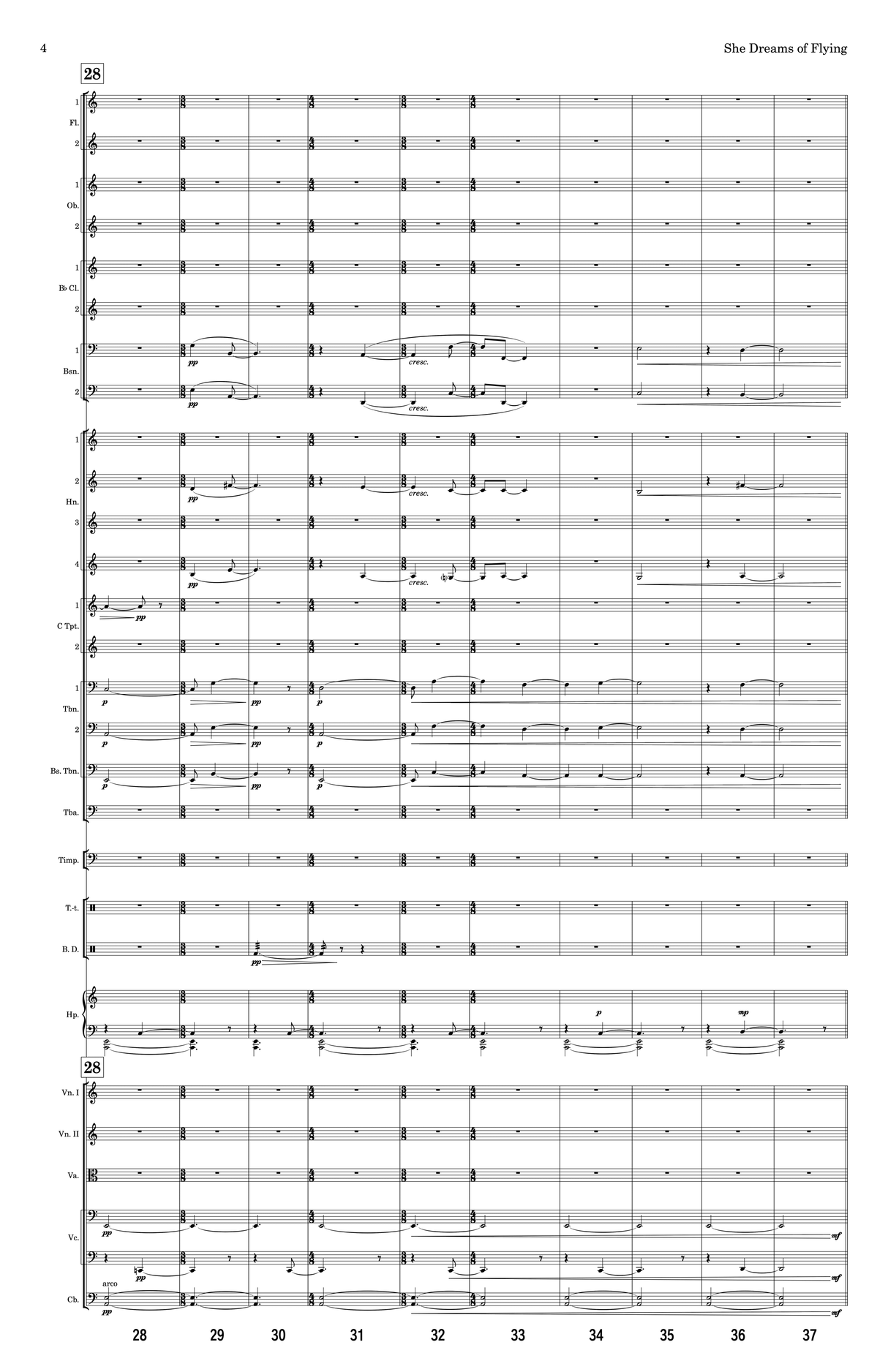 Mason: She Dreams of Flying