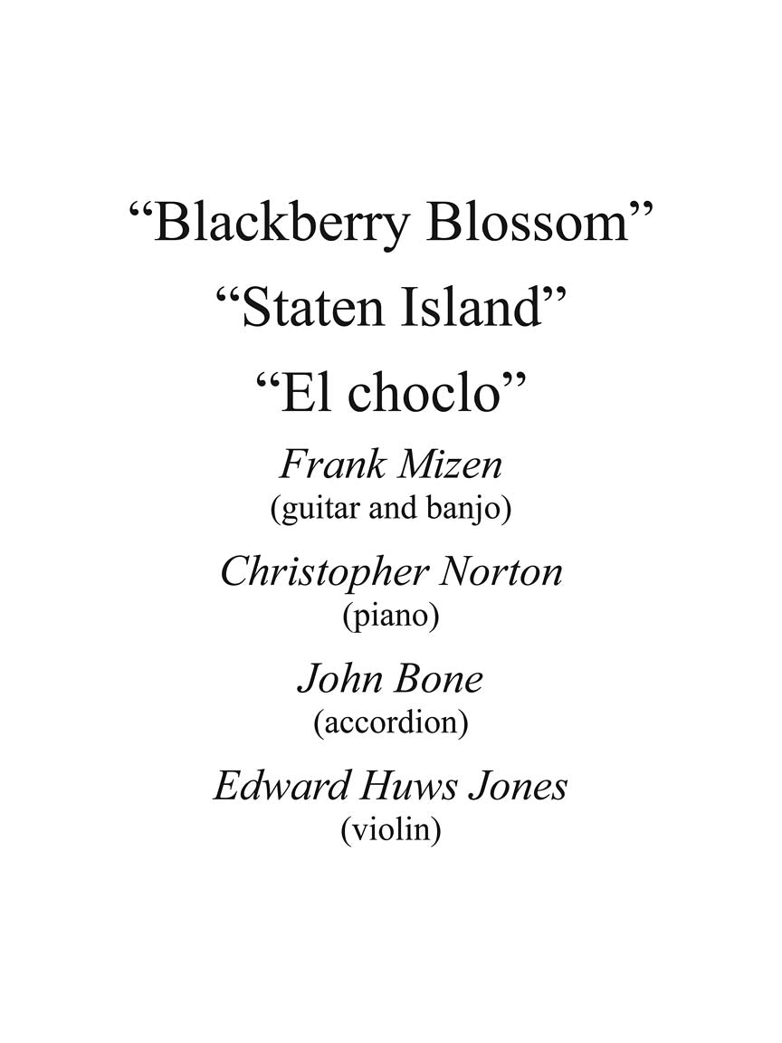 The Folk Music Fiddler