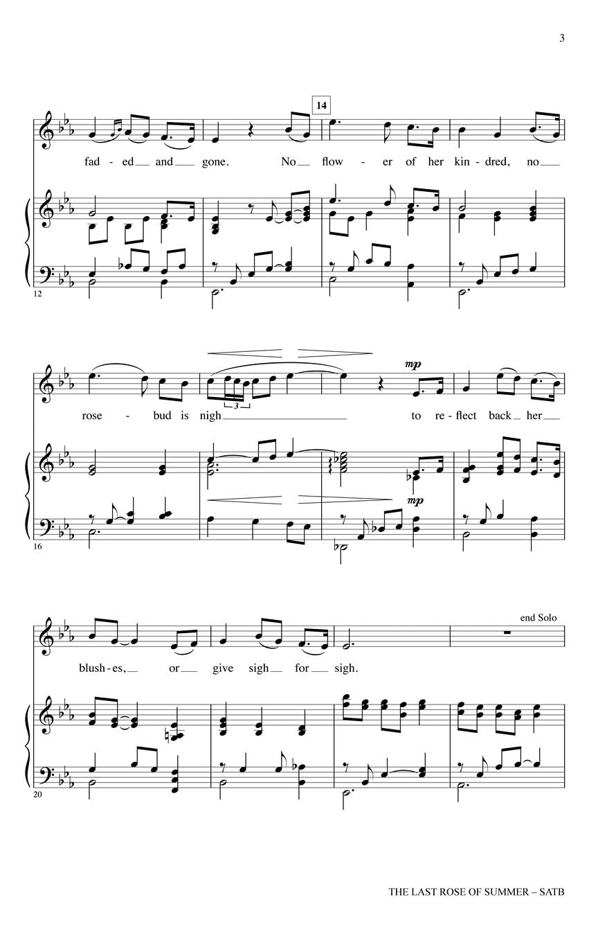 The Last Rose of Summer