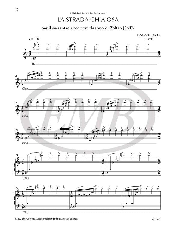 21st Century Works for Cimbalom by Hungarian Composers