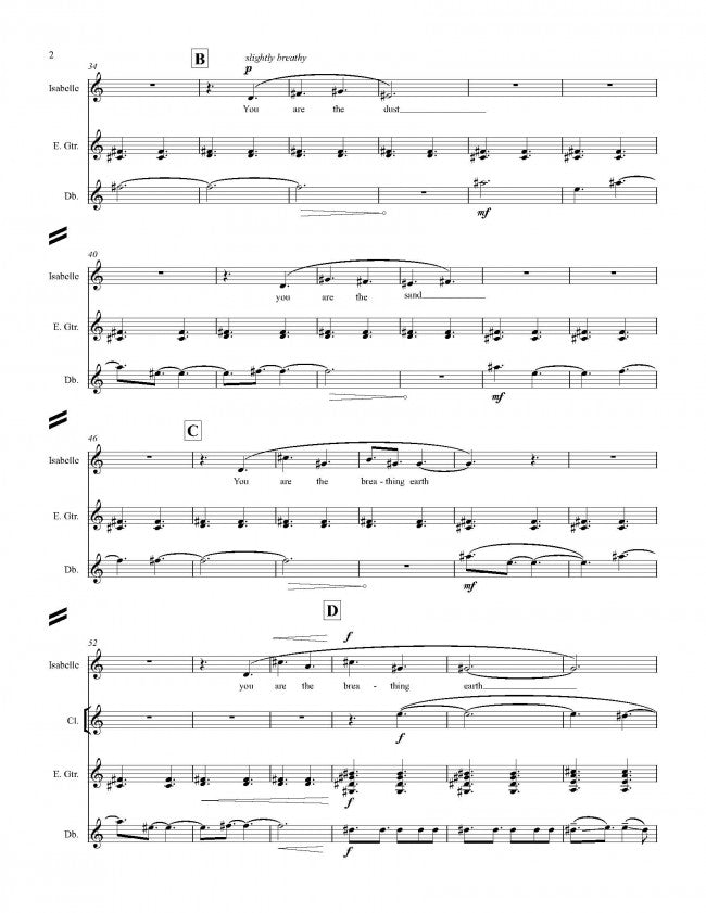 Mazzoli: You Are the Dust (Version for Mezzo & Ensemble)