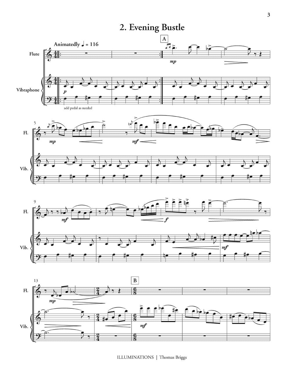 T. Briggs: Illuminations