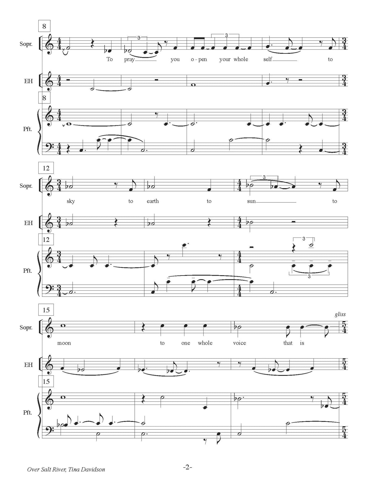 Davidson: Over Salt River