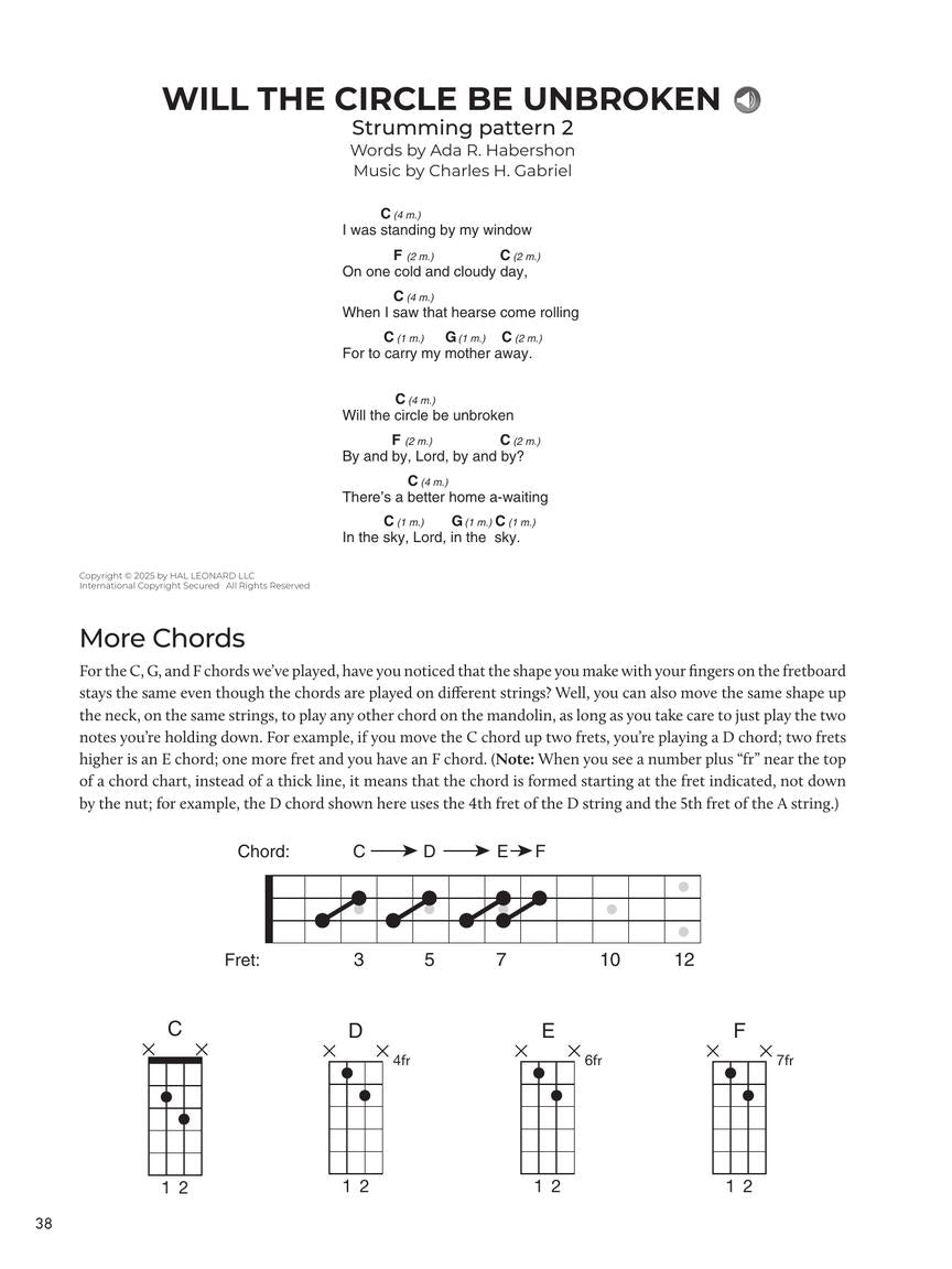 Do-It-Yourself Mandolin