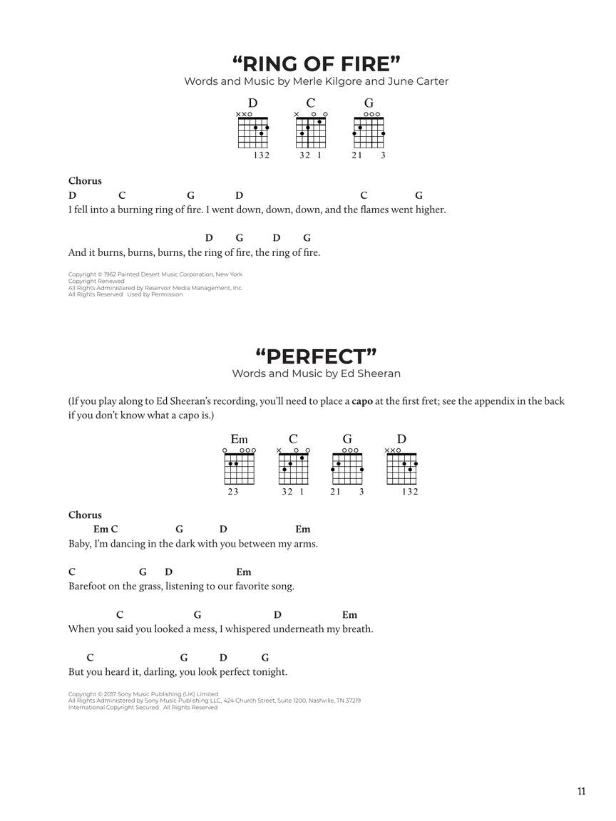 Do-It-Yourself Guitar