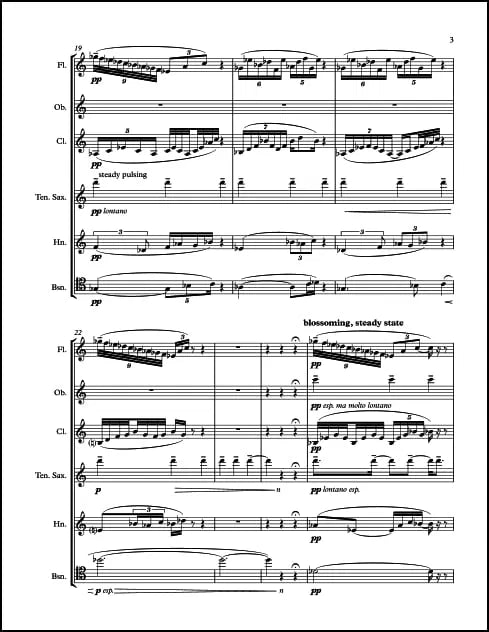 Weesner: Where Songs Go at Night