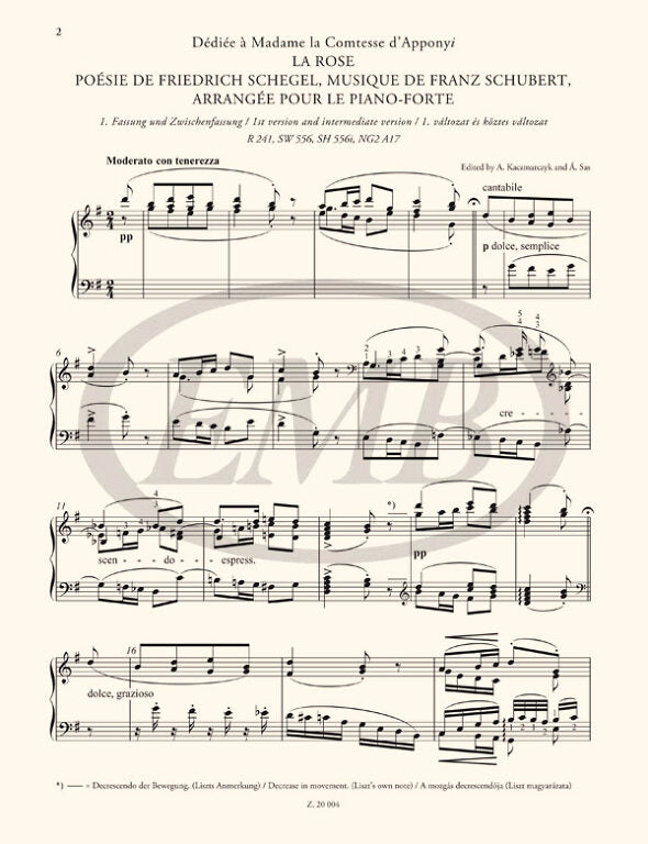 Liszt: Free Arrangements and Technical Exercises