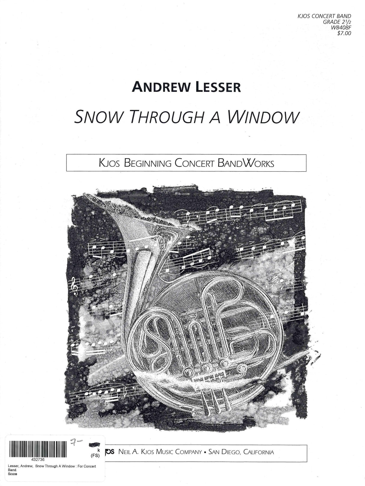 Lesser: Snow Through a Window