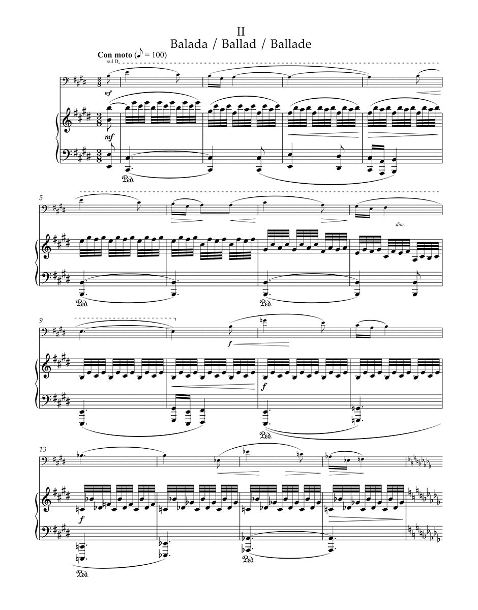 Janáček: Violin Sonata (arr. for cello)