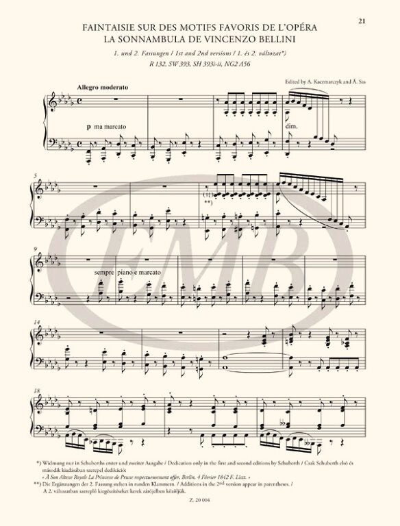 Liszt: Free Arrangements and Technical Exercises