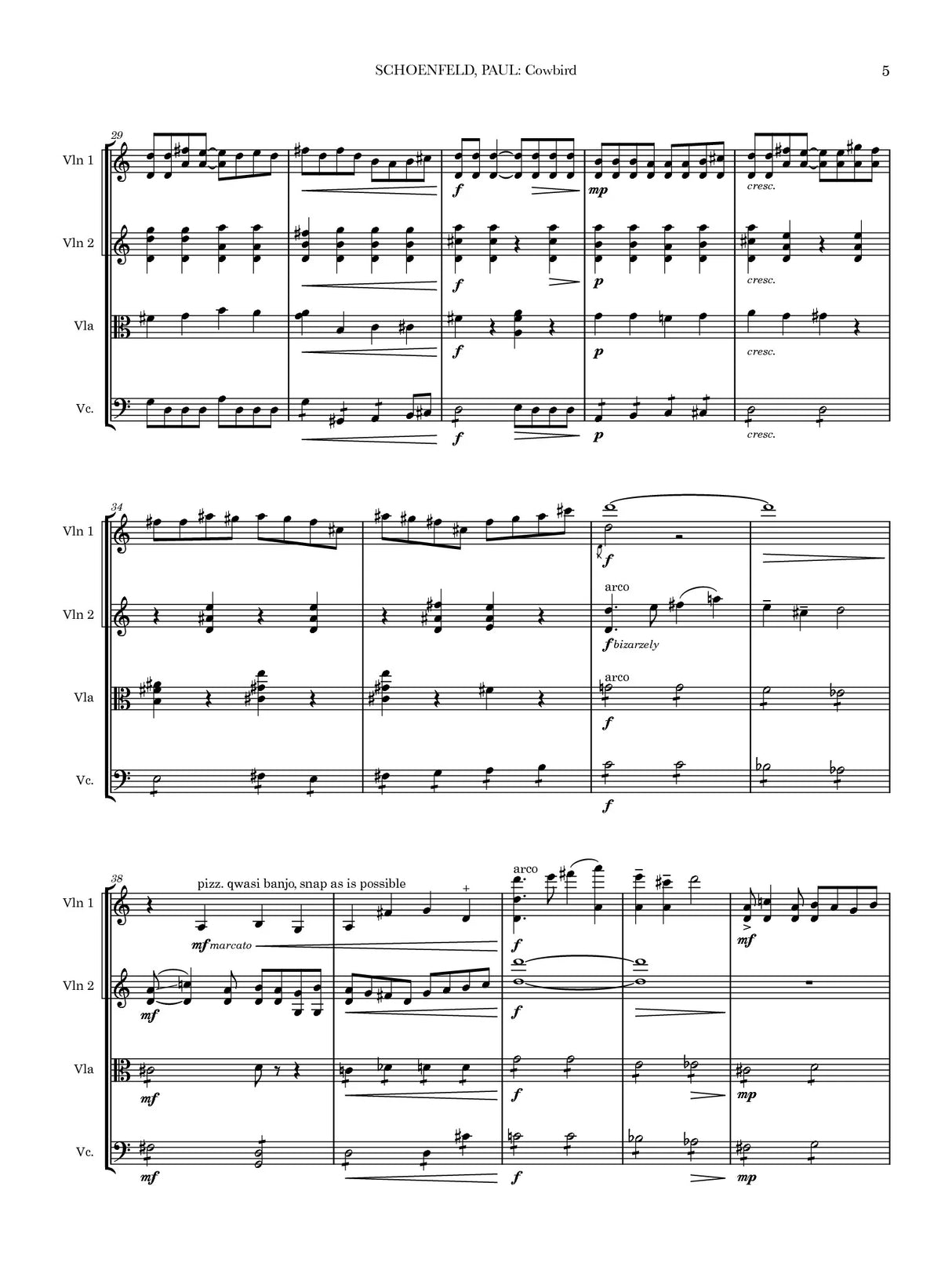 Schoenfeld: Cowbird