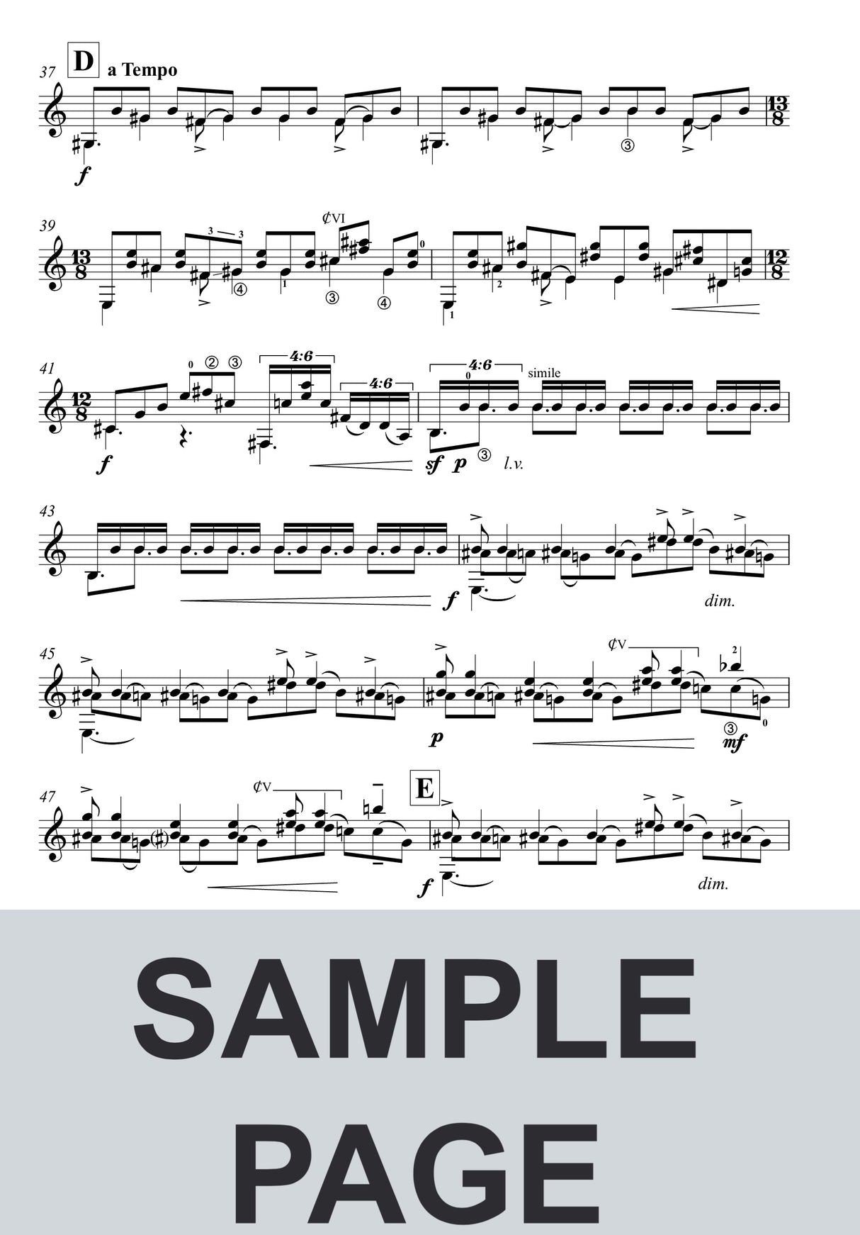 Brouwer: Los guardianes de la magia