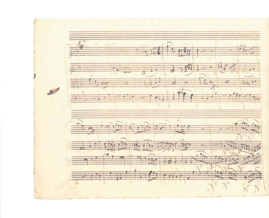 Mozart: String Quartet No. 8 in F Major, K. 168