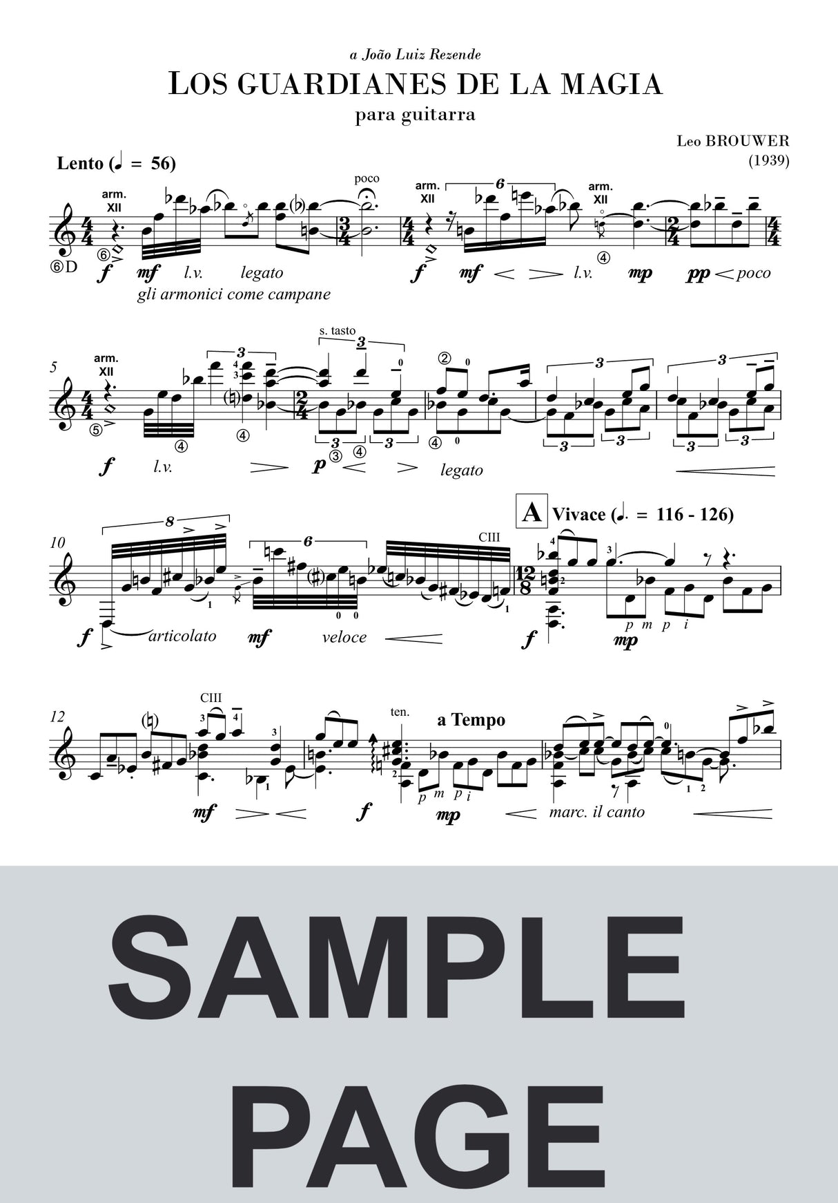 Brouwer: Los guardianes de la magia