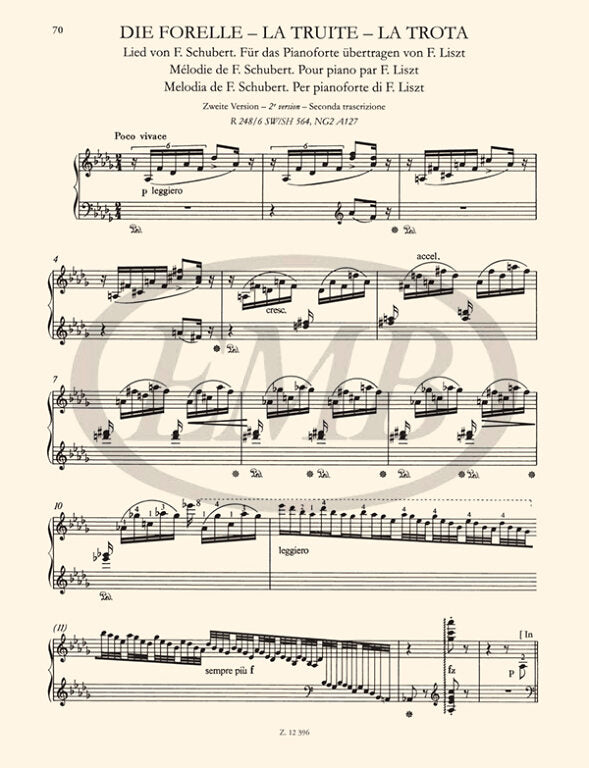 Liszt: Free Arrangements VII
