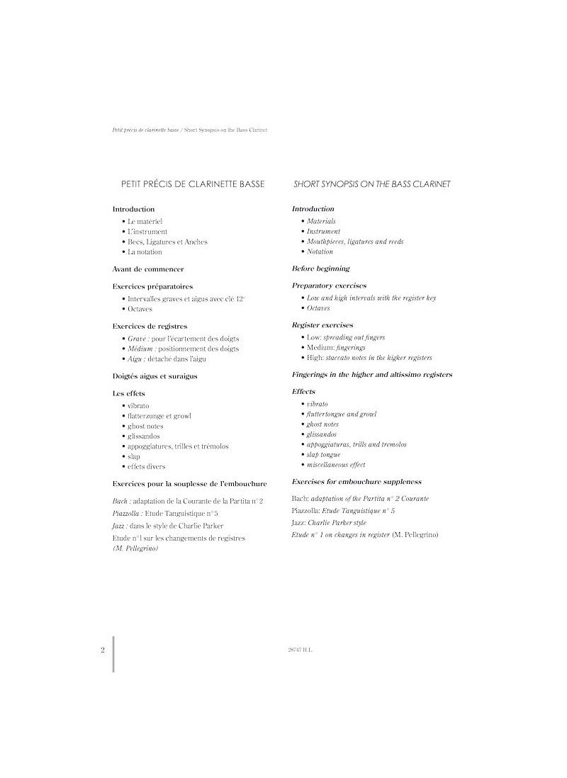 Short Synopsis on the Bass Clarinet