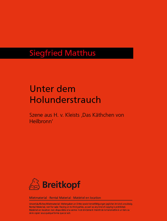 Unter dem Holunderstrauch