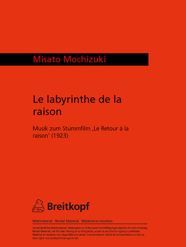 Labyrinthe de la raison, Le